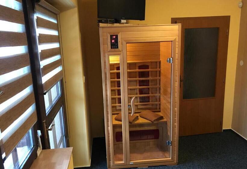 Pension Aura špičák, Některé Pokoje Se Saunou