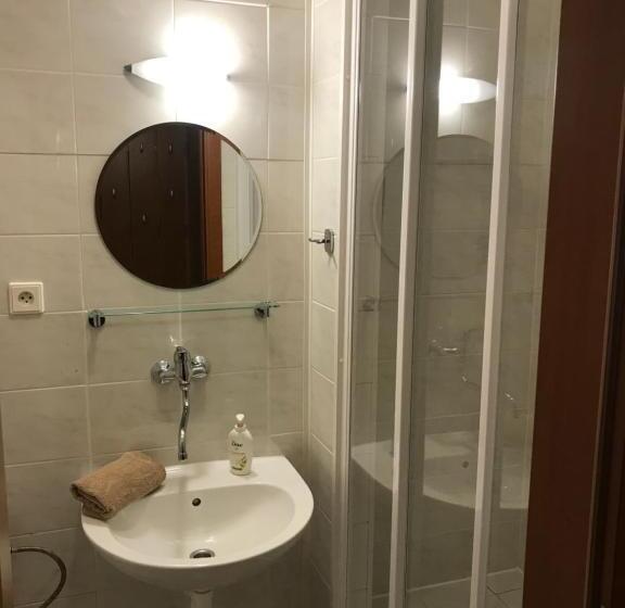 Pension Aura špičák, Některé Pokoje Se Saunou