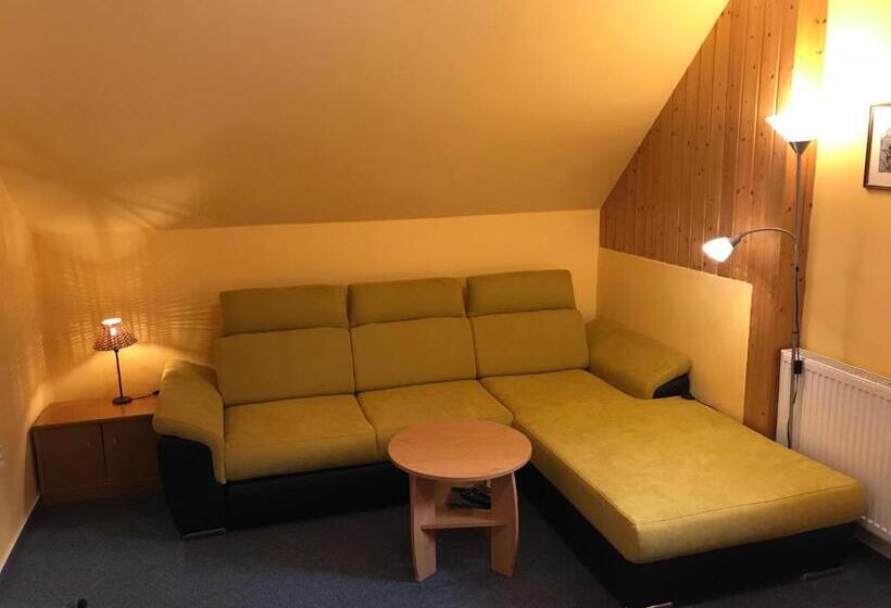 Pension Aura špičák, Některé Pokoje Se Saunou