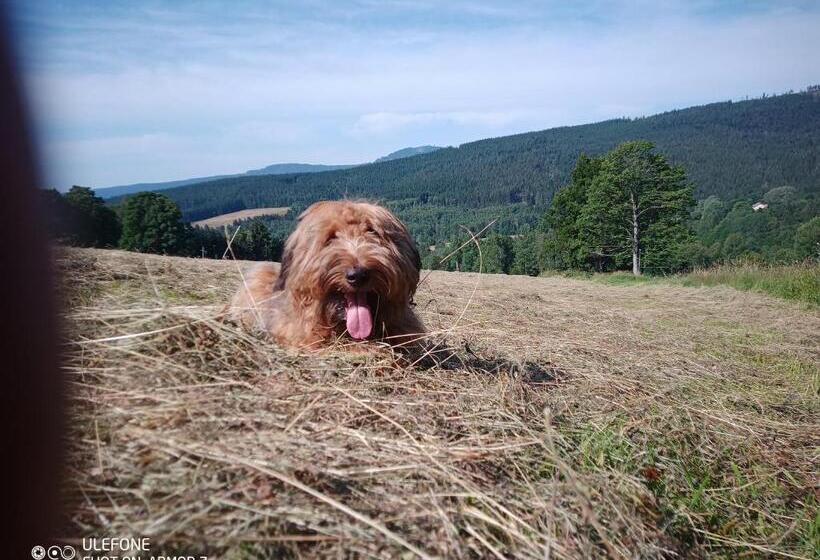 Pension Aura špičák, Některé Pokoje Se Saunou