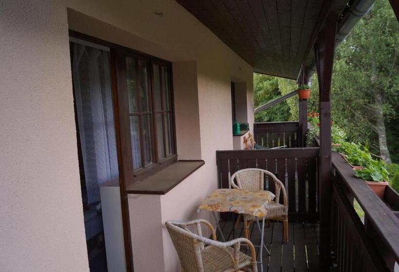 Pension Aura špičák, Některé Pokoje Se Saunou