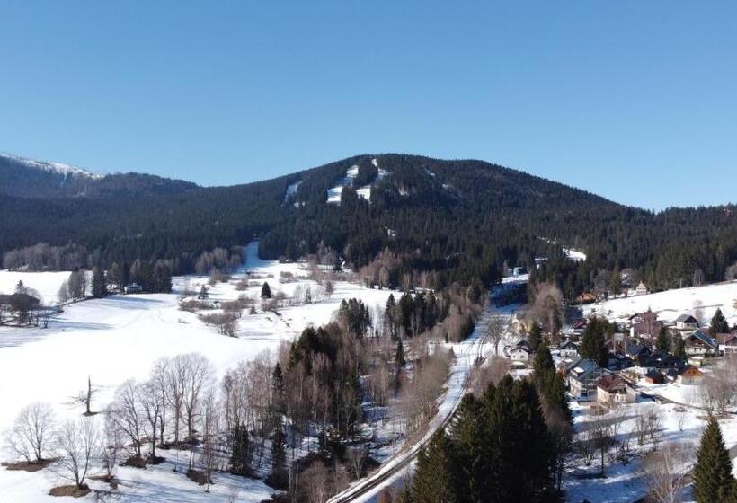 Pension Aura špičák, Některé Pokoje Se Saunou
