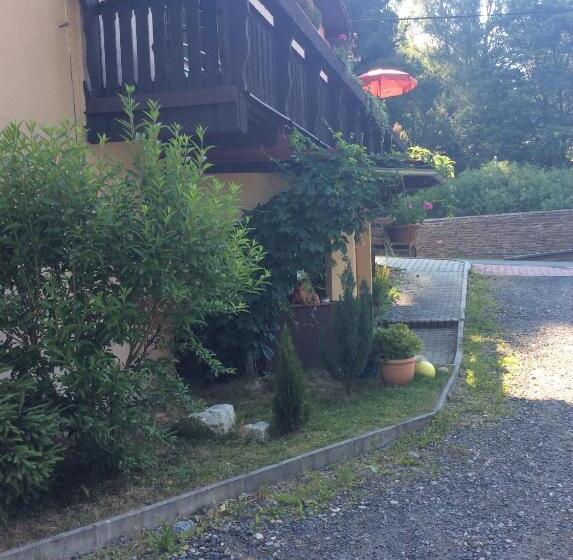 Pension Aura špičák, Některé Pokoje Se Saunou