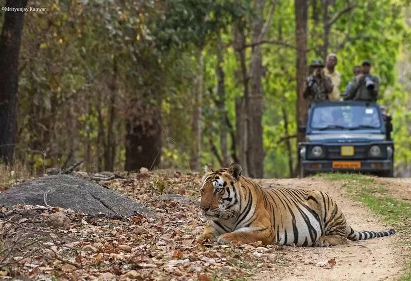 Hotelli Taal Tiger Retreat