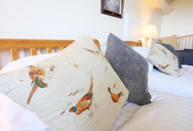 مبيت وإفطار Westergate House