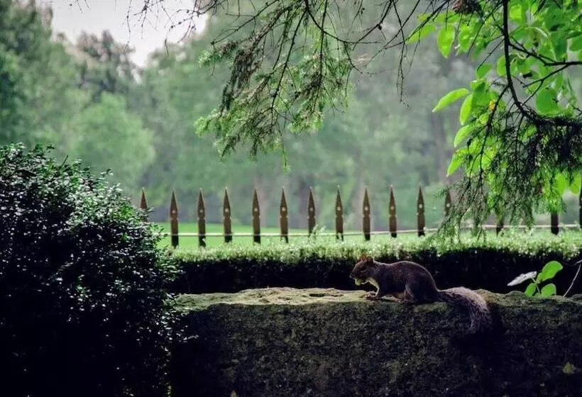 Отель The Nyton Guesthouse