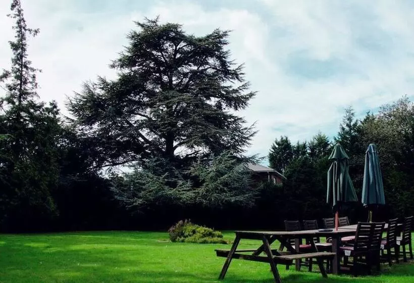 Отель The Nyton Guesthouse