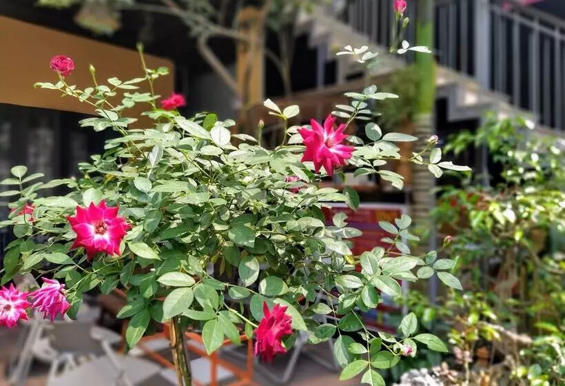 هاستل Q  Homestay Garden Villa