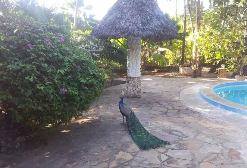 Dream Of Africa Cottages Kanamai