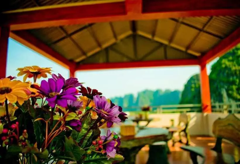 Trang An Mountain View Homestay   Hostel