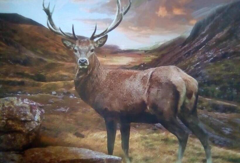 צימר Selkie House