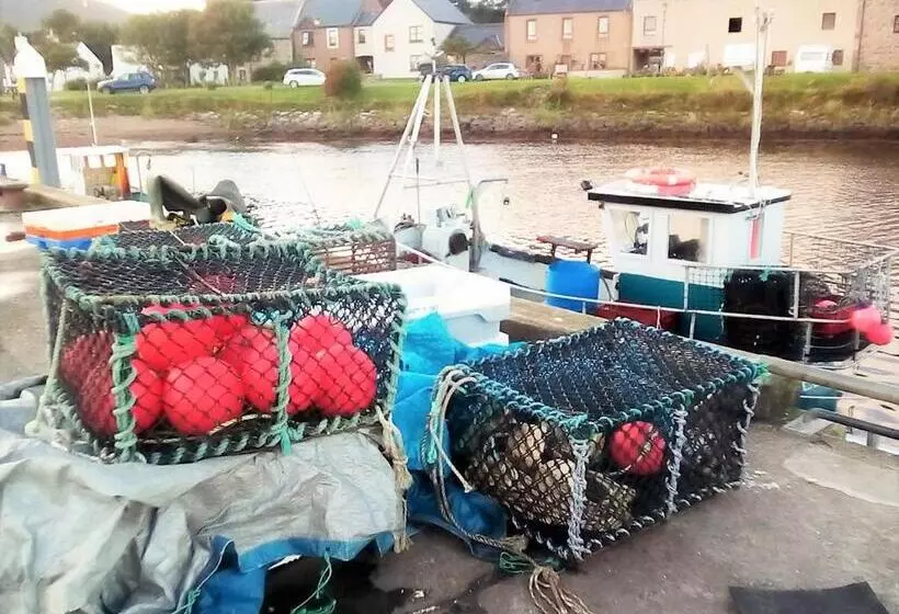 Aamiaismajoitus (B&B) Selkie House