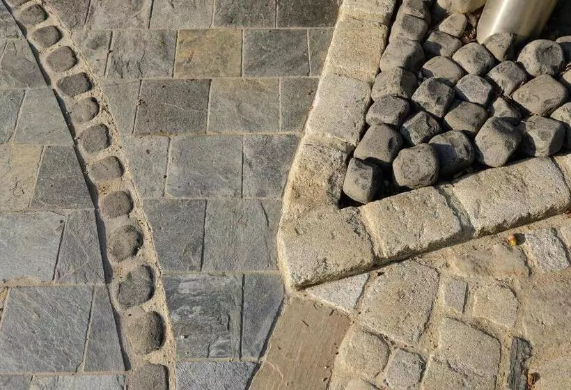 La Maison Dans Les Bois