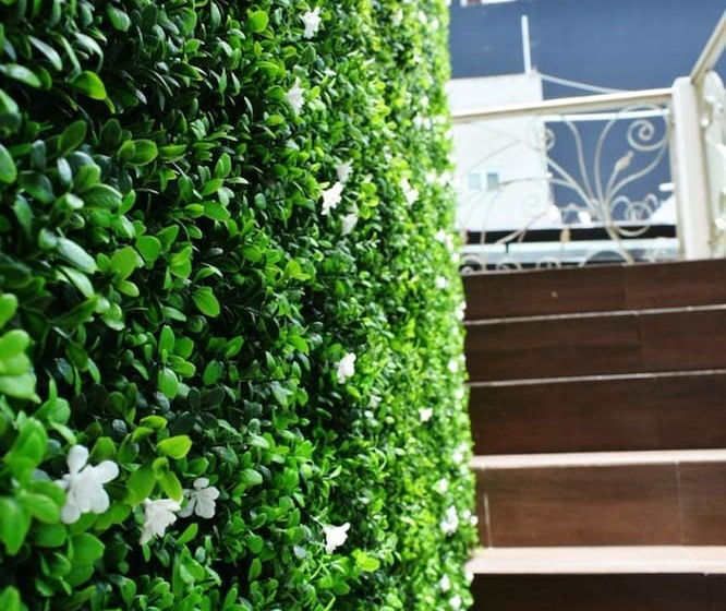 Art Factory Playa Del Carmen   Hostel