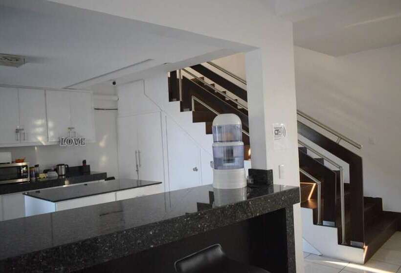 Art Factory Playa Del Carmen   Hostel