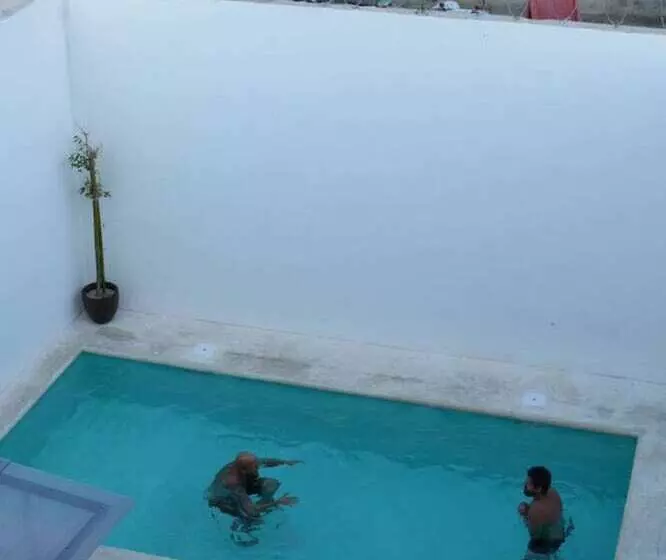 Art Factory Playa Del Carmen   Hostel