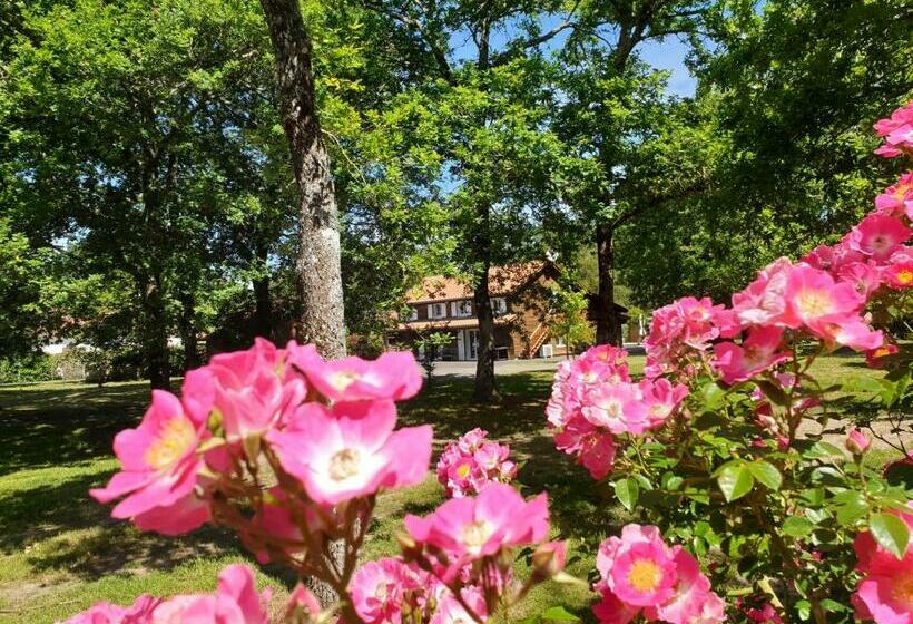 住宿加早餐 La Grange Du Born