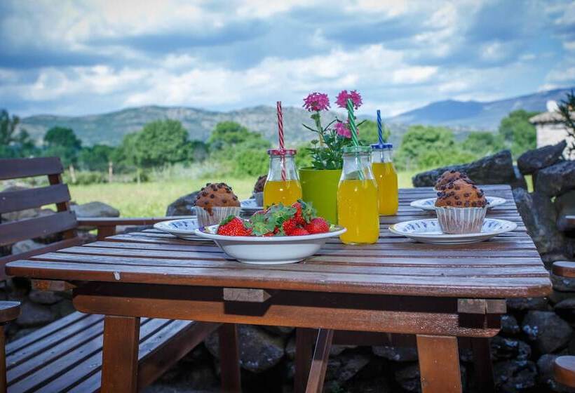 El Bulín De Piñuecar