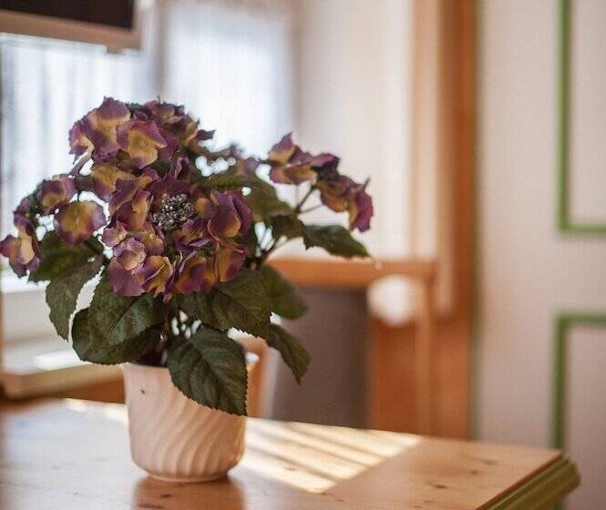 פונדק Sandgut Mihla