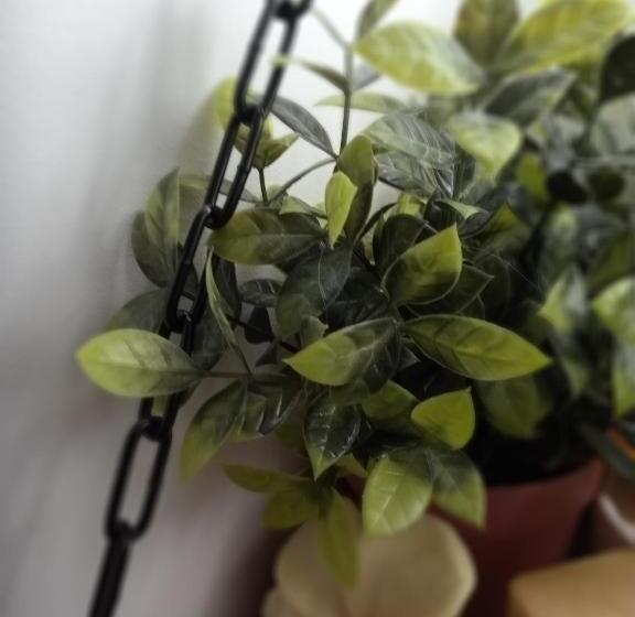 Пансион La Longère Chanoir