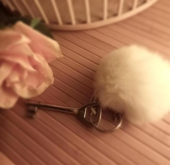 Пансион La Longère Chanoir