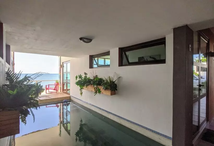Sky Ocean Pads
