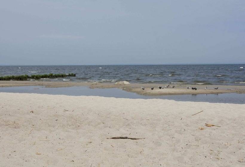 Sleep Under A Thatched Roof   Apartment In Ahlbeck Near Haff