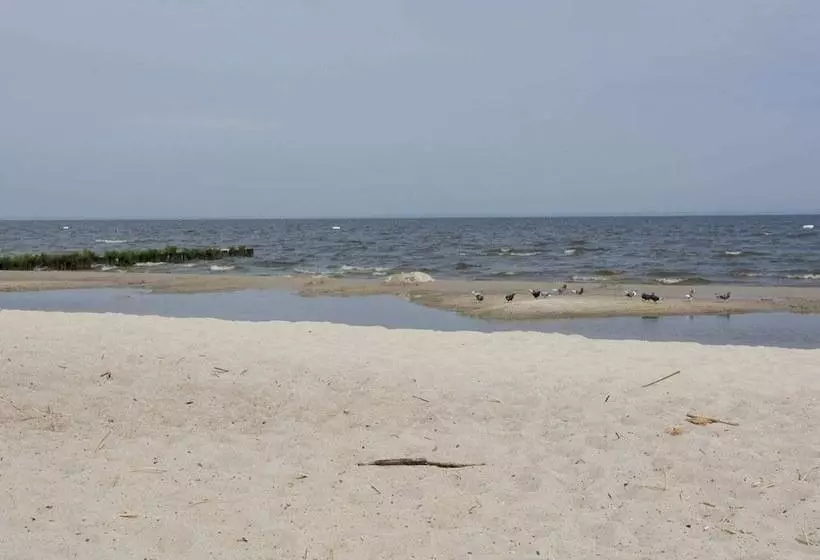 Sleep Under A Thatched Roof   Apartment In Ahlbeck Near Haff