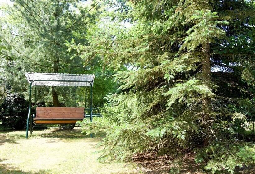 Sleep Under A Thatched Roof   Apartment In Ahlbeck Near Haff