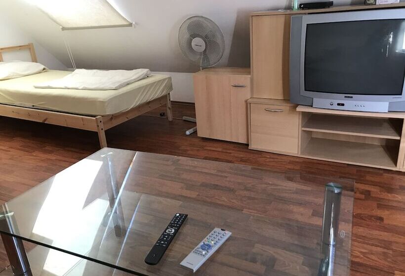 Apartment Graz Mitte Central