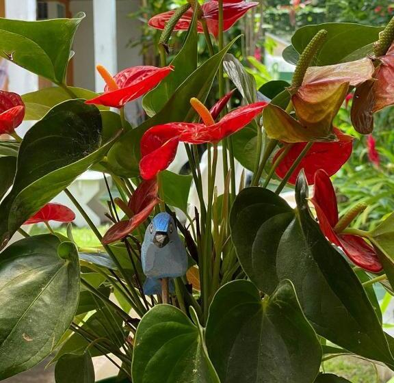 پانسیون Bahia Mar Pousada