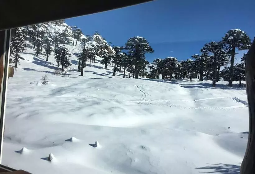 Hotelli Lodge Tikilen Caviahue