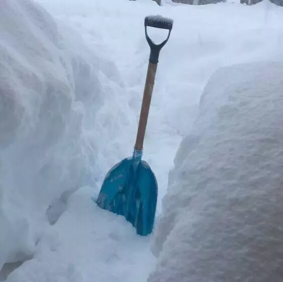 Hotelli Lodge Tikilen Caviahue