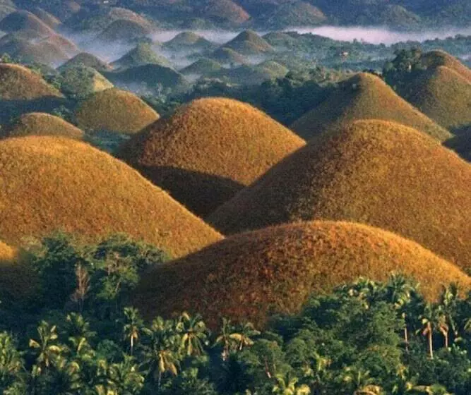 هتل Citadel Alona Inn