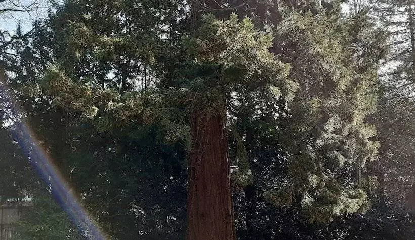 Majatalo Garfits Lodge