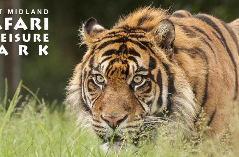 George Hotel Wetherspoon