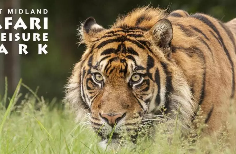 George Hotel Wetherspoon