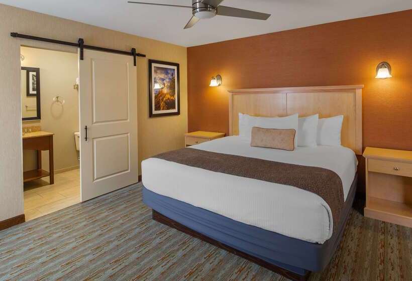 בית מלון כפרי Best Western Acadia Park Inn