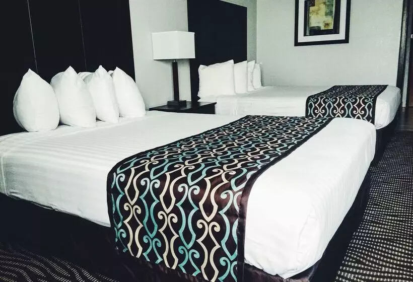 فندق Best Western Executive Inn