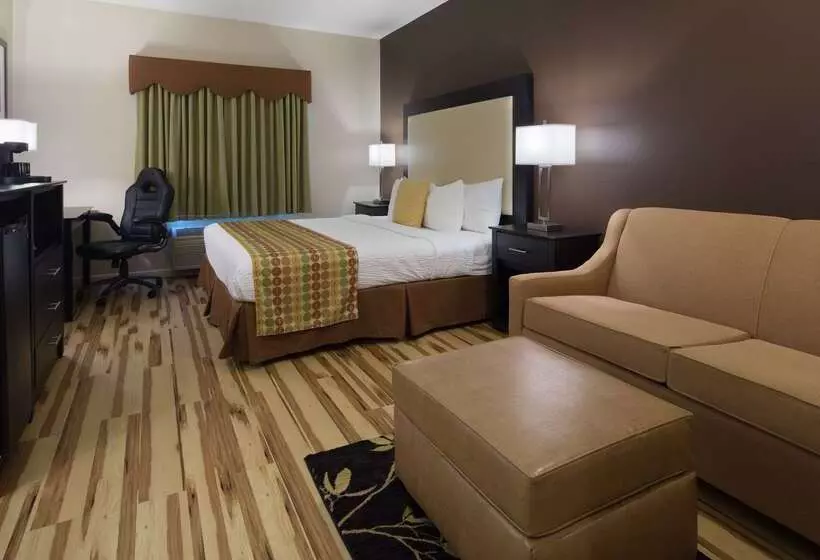 酒店 Best Western Plus Des Moines West Inn & Suites