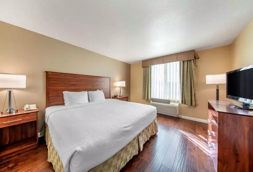 ホテル Best Western Plus John Jay Inn & Suites