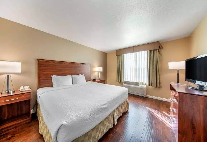 ホテル Best Western Plus John Jay Inn & Suites