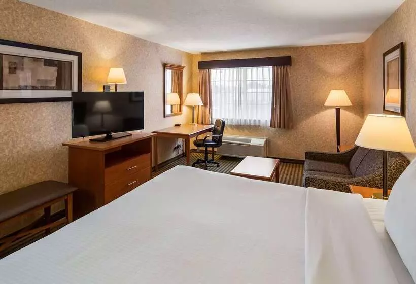 בית מלון כפרי Best Western Rama Inn