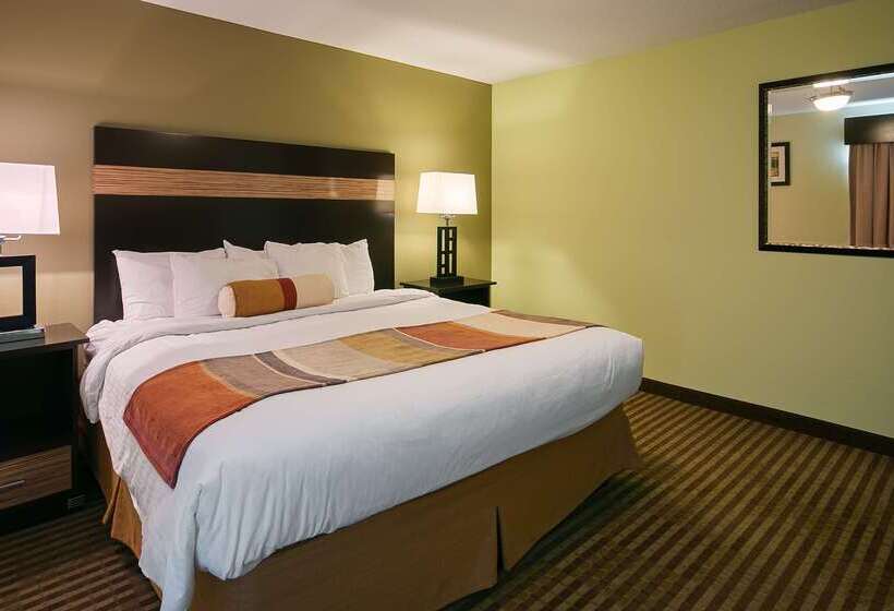 酒店 Best Western Rama Inn