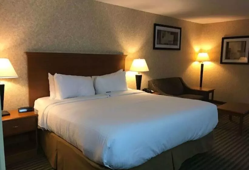 בית מלון כפרי Best Western Rama Inn