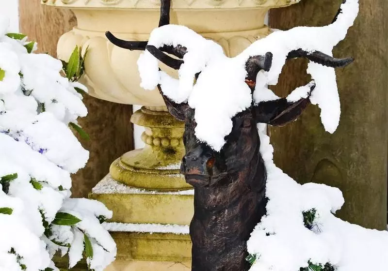 Hotell Whitworth Hall & Deer Park Durham