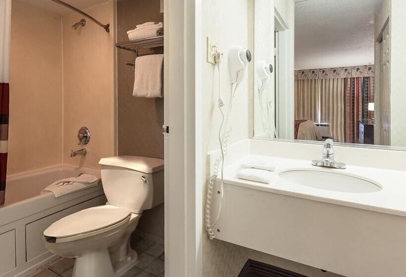 酒店 Red Roof Inn & Suites Dekalb