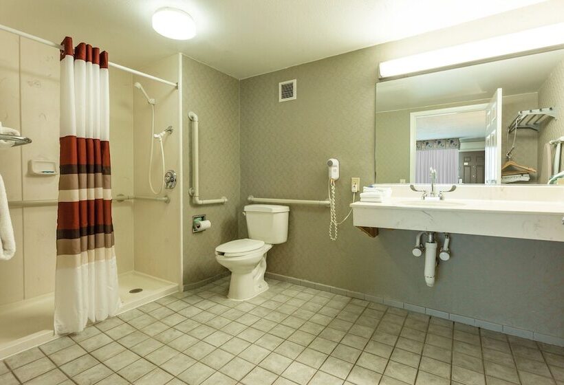 酒店 Red Roof Inn & Suites Dekalb