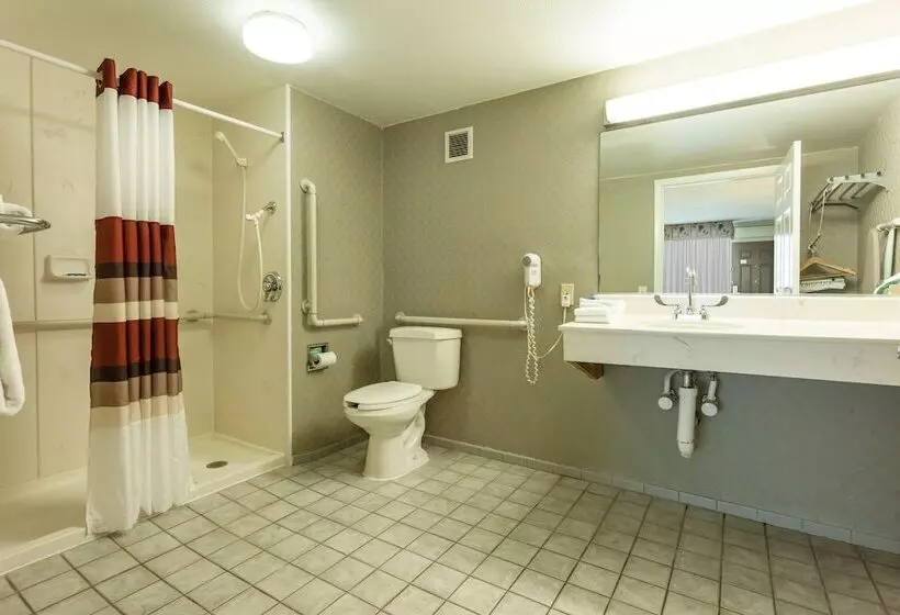 酒店 Red Roof Inn & Suites Dekalb