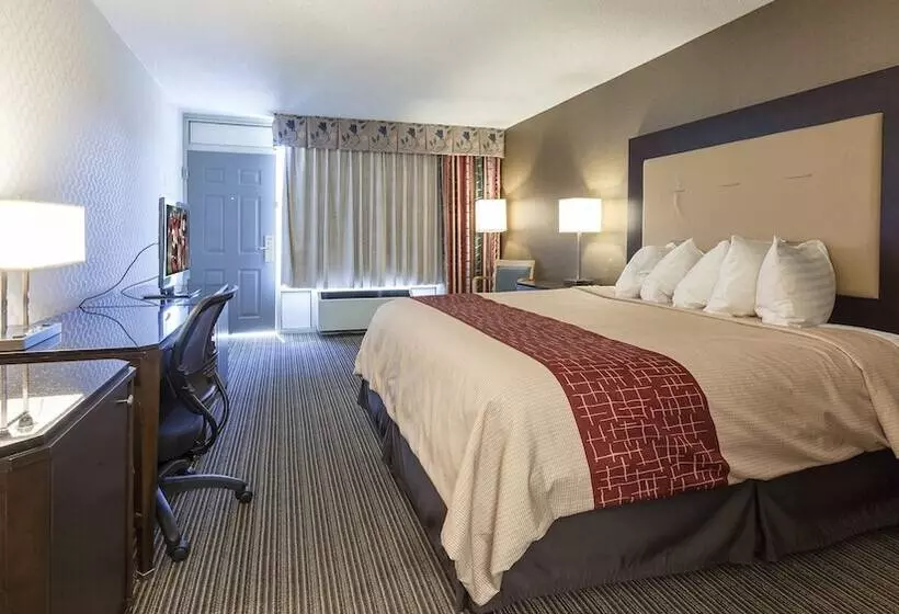 酒店 Red Roof Inn & Suites Dekalb
